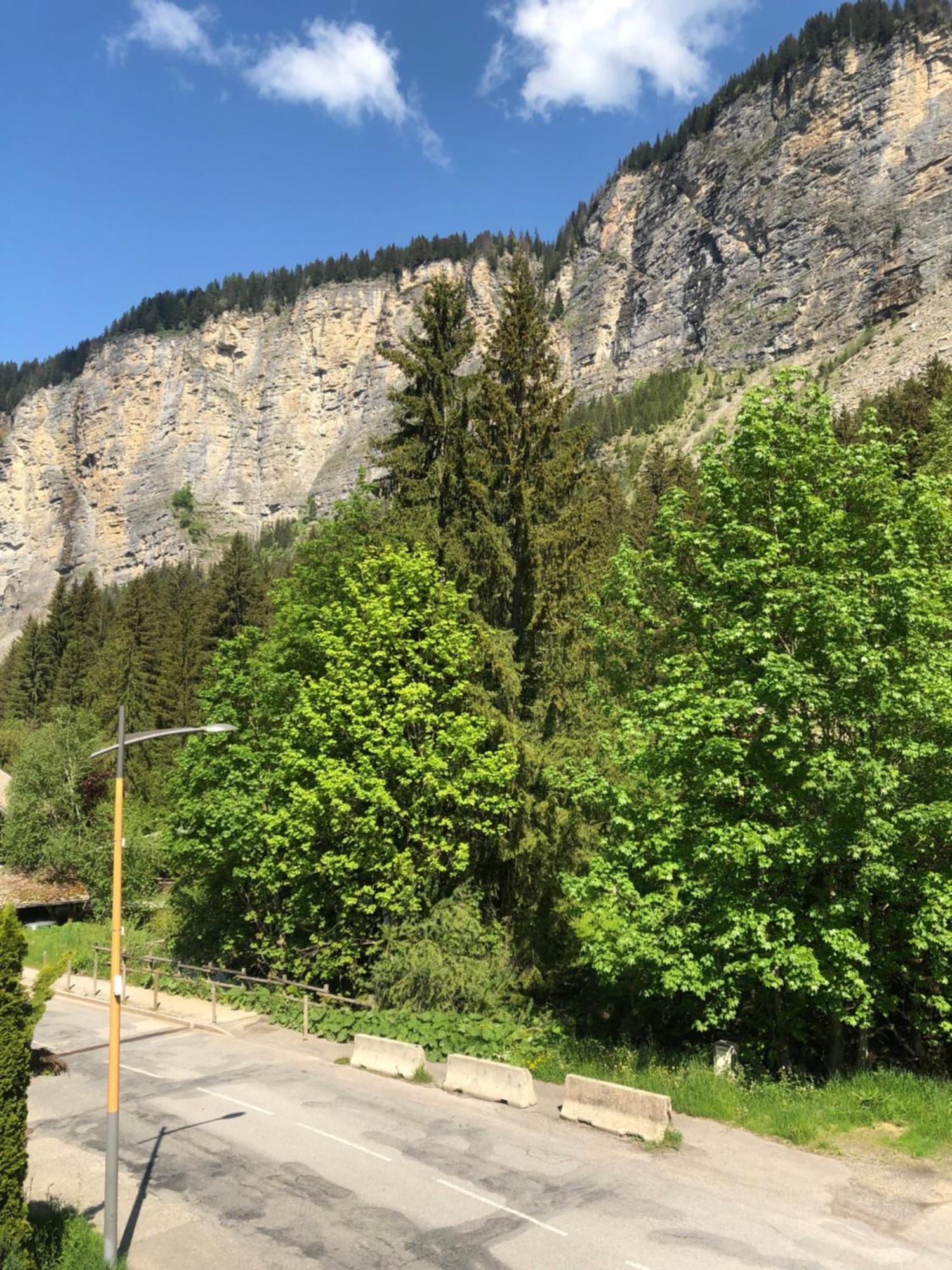 Hotel La Kinkerne Morzine Buitenkant foto
